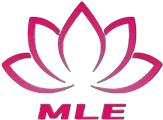 Ningbo MLE Urządzenia elektryczne Co., Ltd.